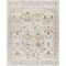 Livabliss Dresden DRE-2308 Area Rug , With Fringe DRE2308-710103 - alternate 1